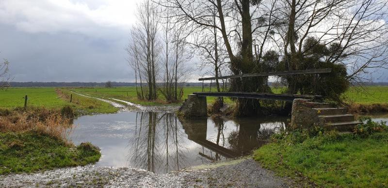 Charming Cottage Du Marais Dday Omaha Beach Canchy  Exteriér fotografie